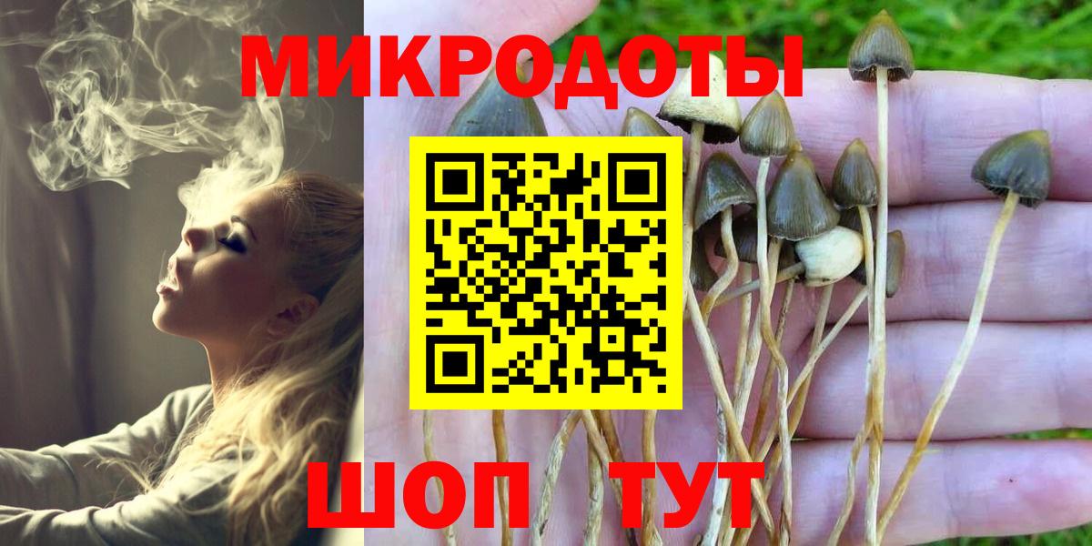 Галлюциногенные грибы Magic Shrooms Калач-на-Дону